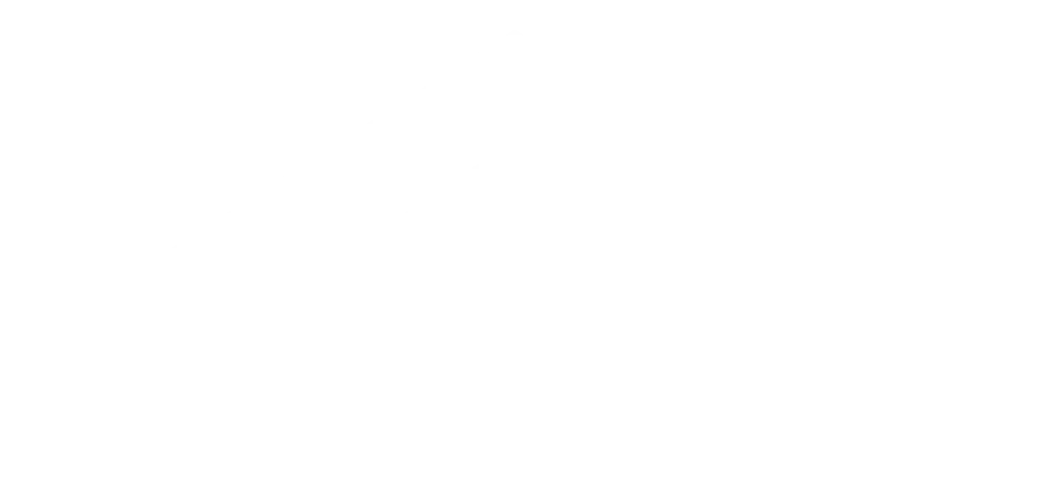 MVT RENO